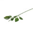 Стебель от розы 2 листа 45 см