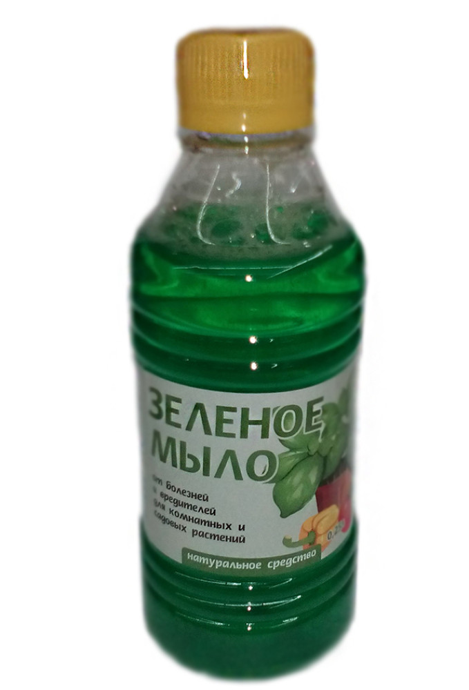 Зеленое мыло фото