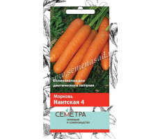 Морковь Нантская 4   2гр. Поиск